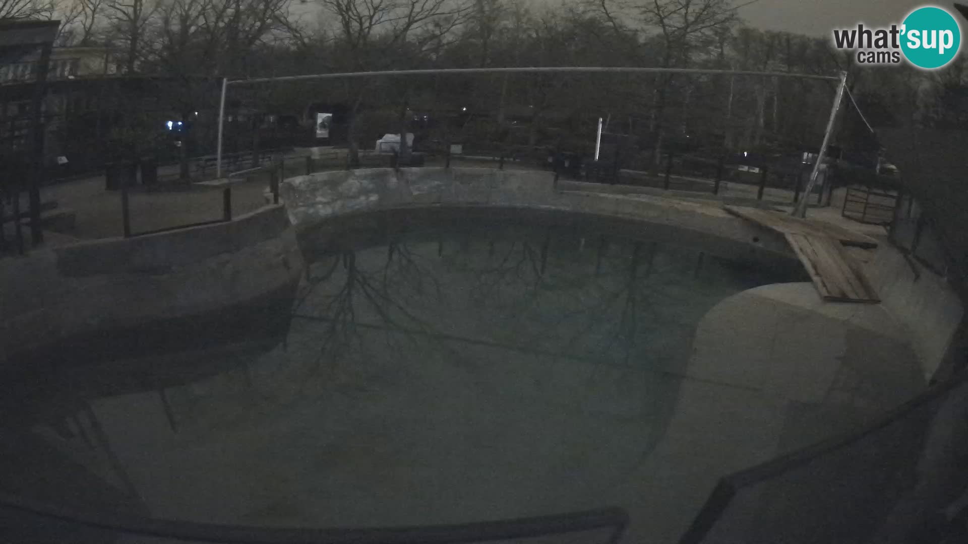 Zoo Zagreb – Kalifornijski morski lav