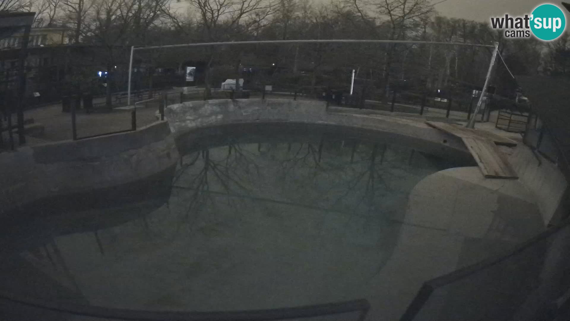 Zoo Zagreb – Kalifornijski morski lav