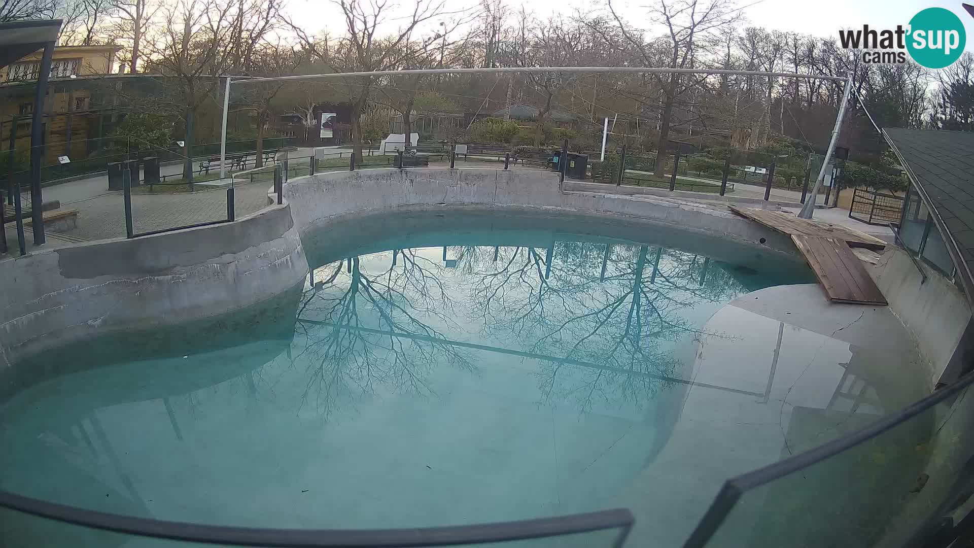 Zoo Zagreb – Otarie de Californie