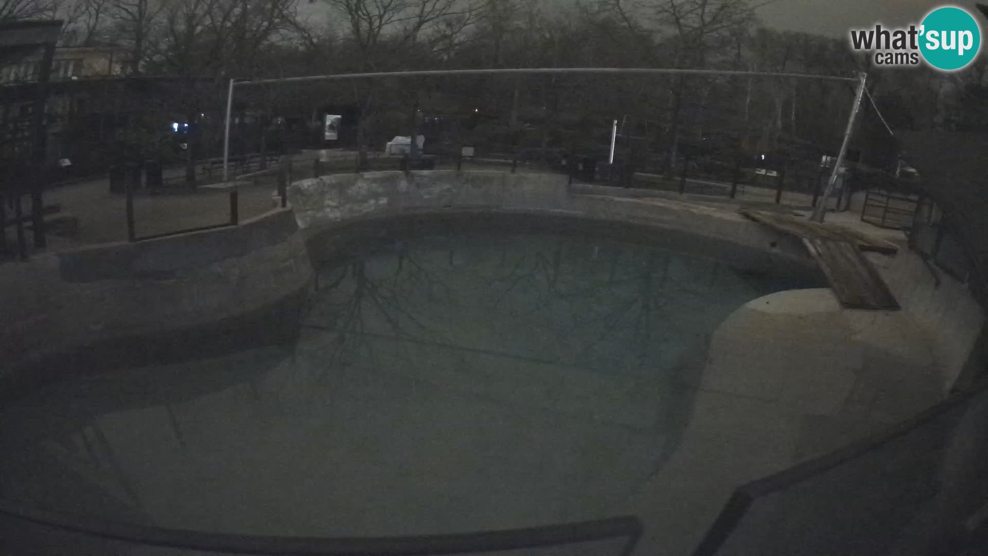 Zoo Zagreb – Otaria della California