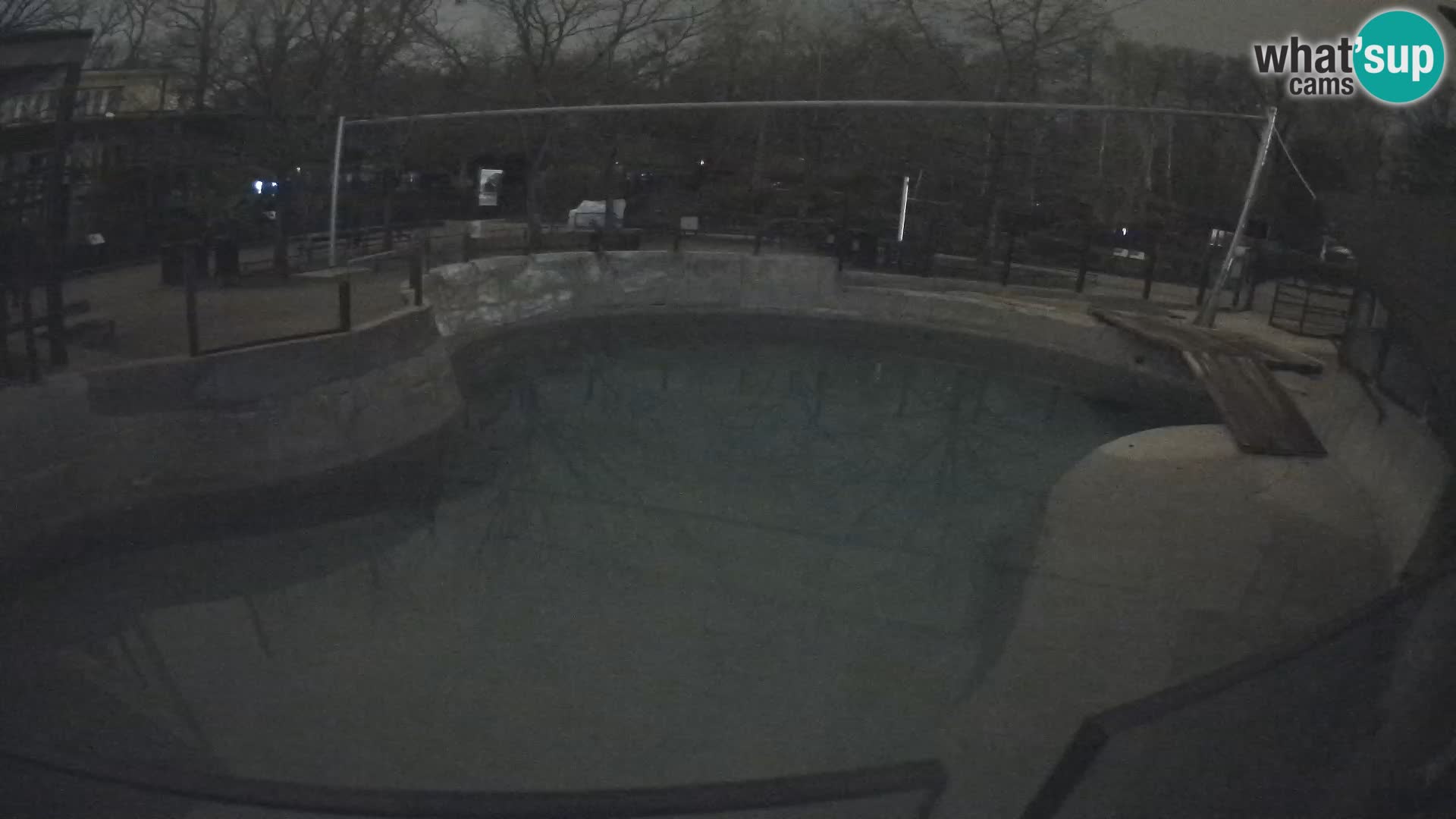 Zoo Zagreb – Otarie de Californie