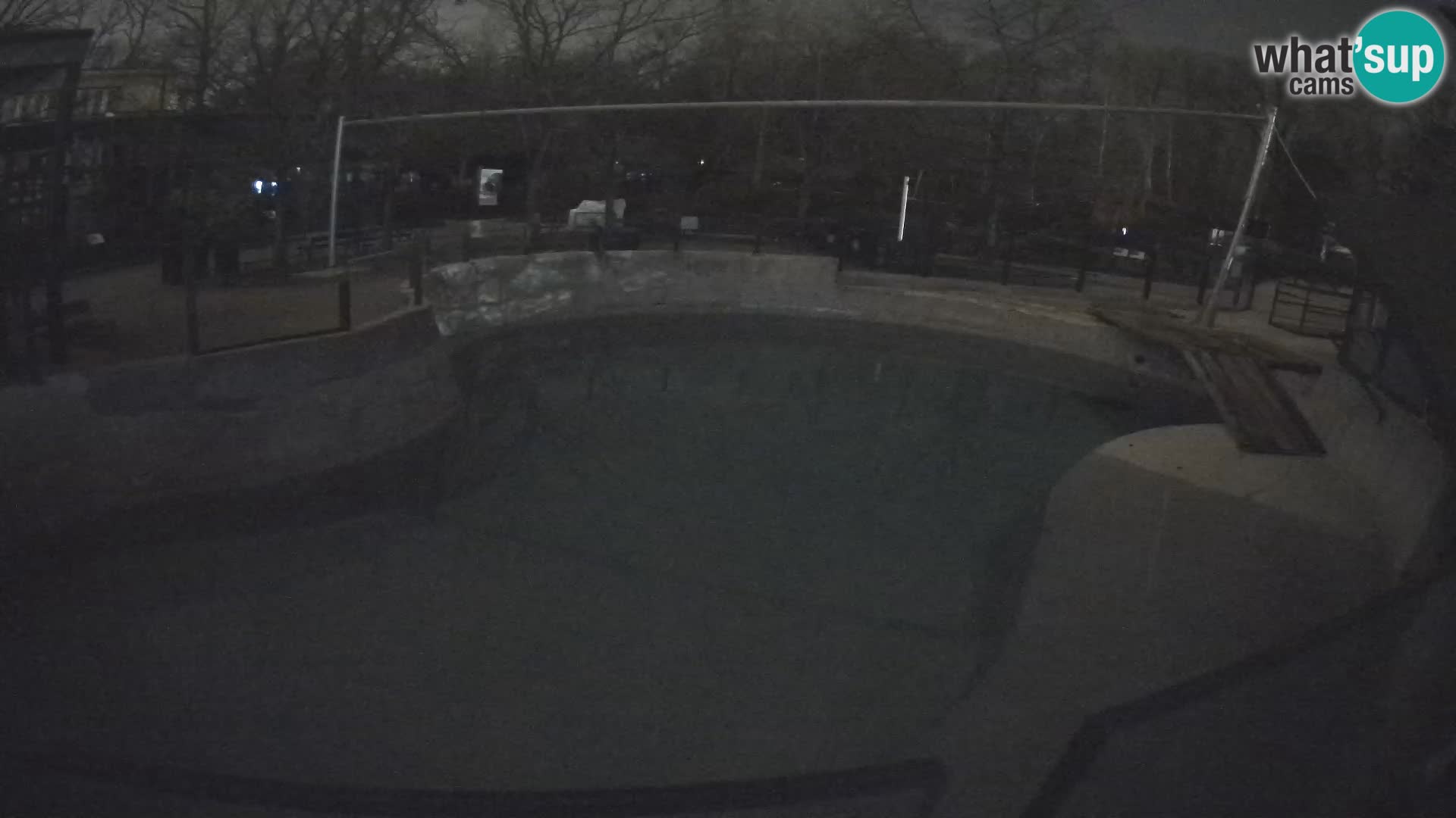 Zoo Zagreb – Kalifornijski morski lav