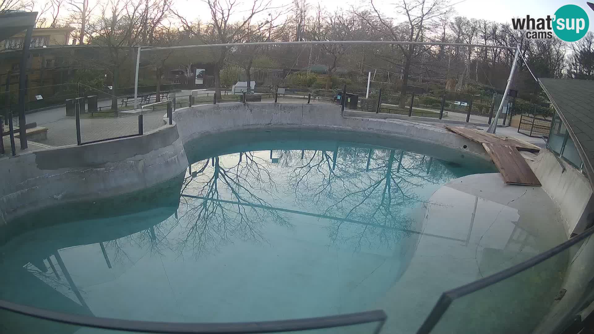 Zoo Zagreb – Kalifornijski morski lav