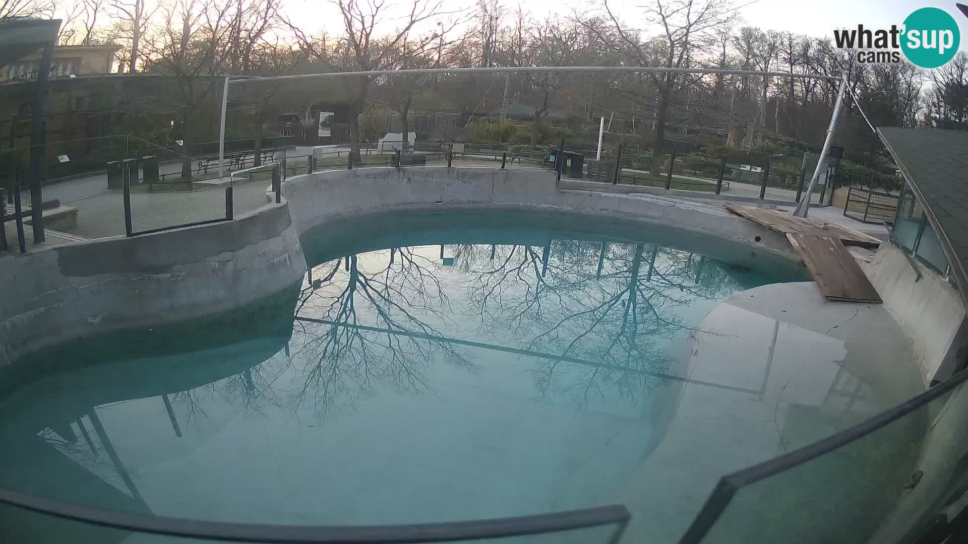 Zoo Zagreb – Otarie de Californie