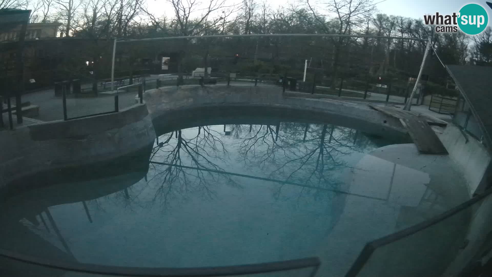 Zoo Zagreb – Kalifornijski morski lav