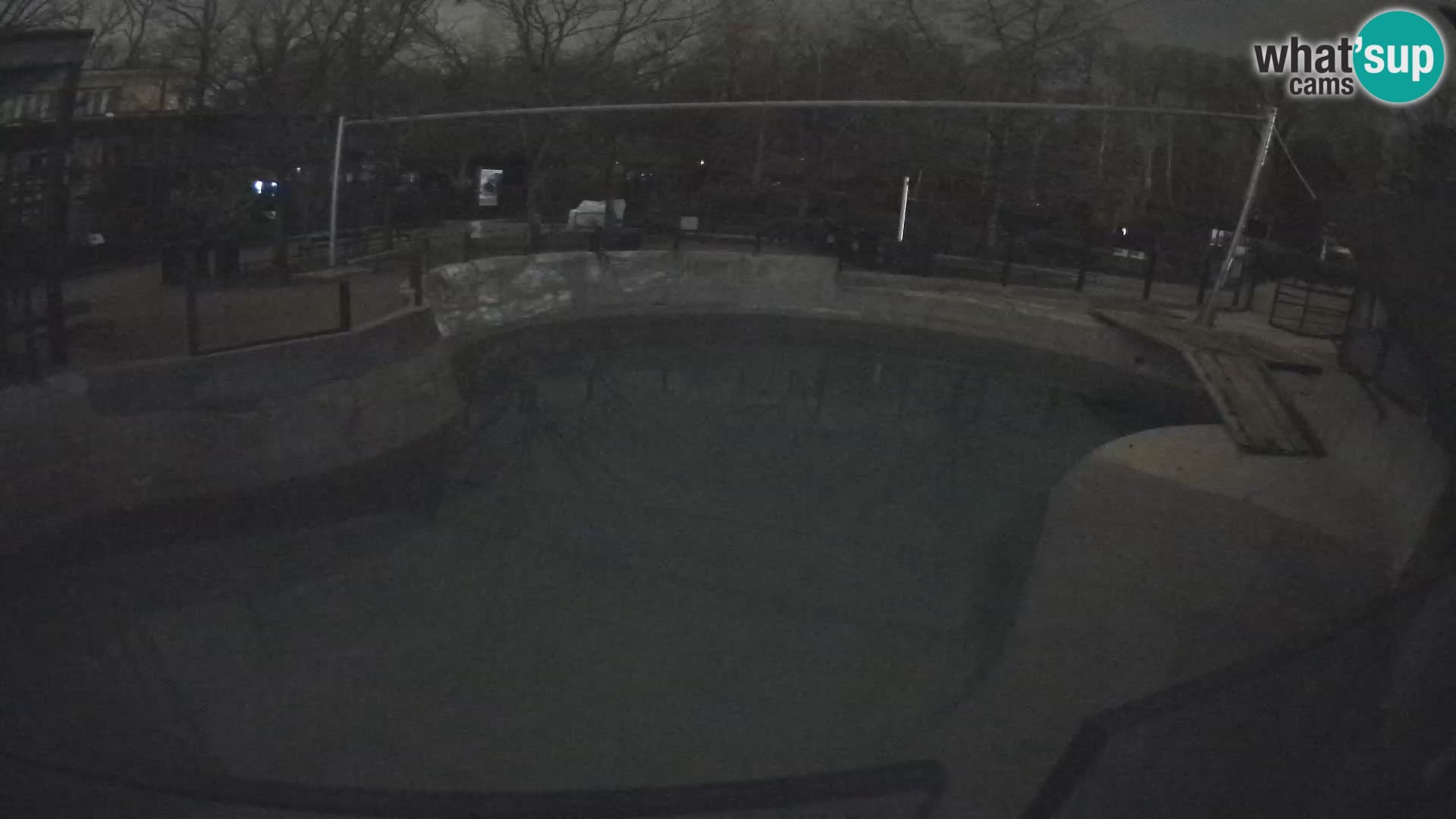 Zoo Zagreb – Kalifornijski morski lav