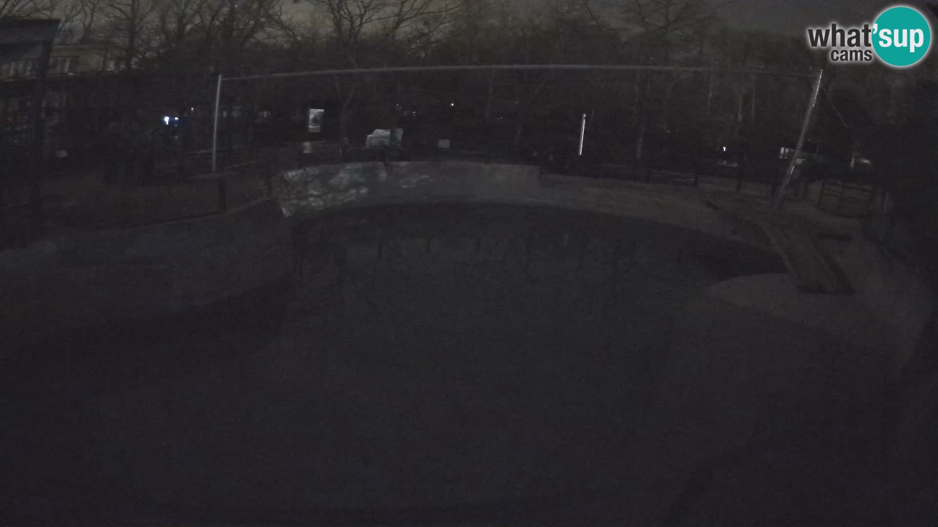 Zoo Zagreb – Kalifornijski morski lav