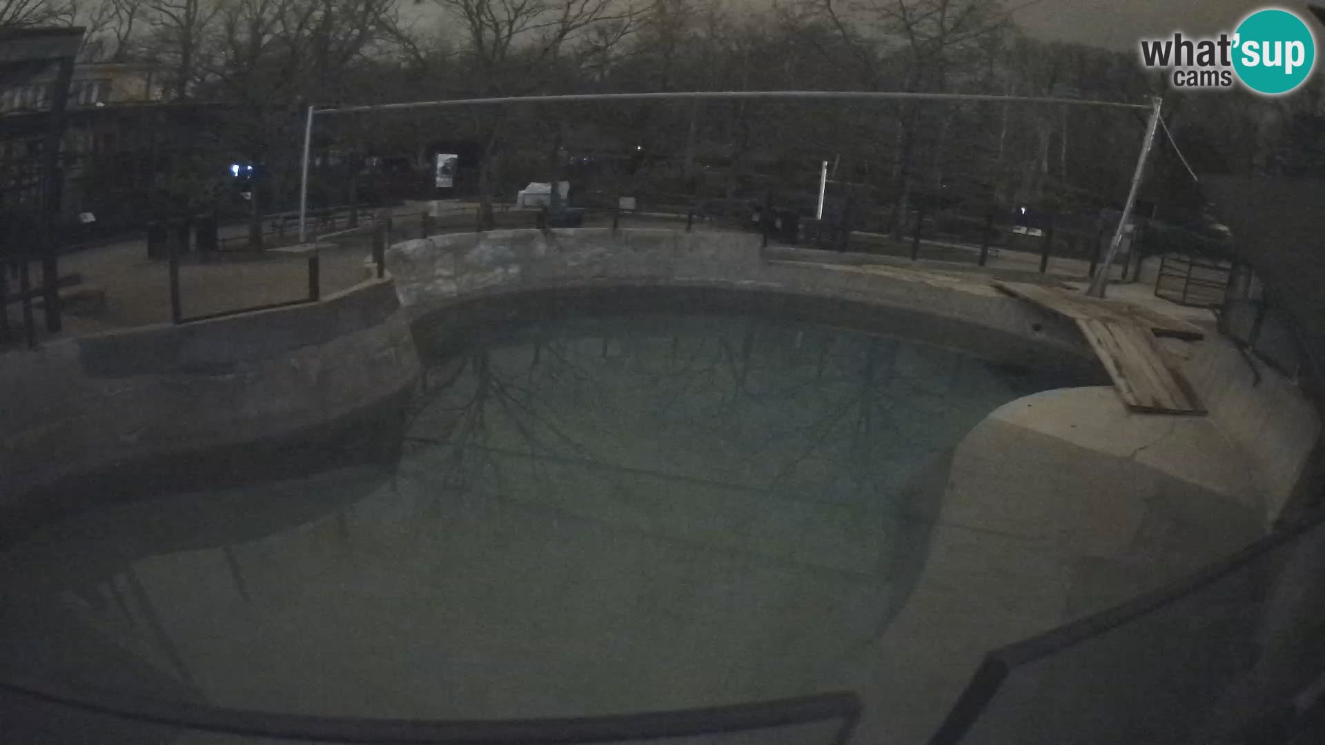 Zoo Zagreb – Kalifornijski morski lav