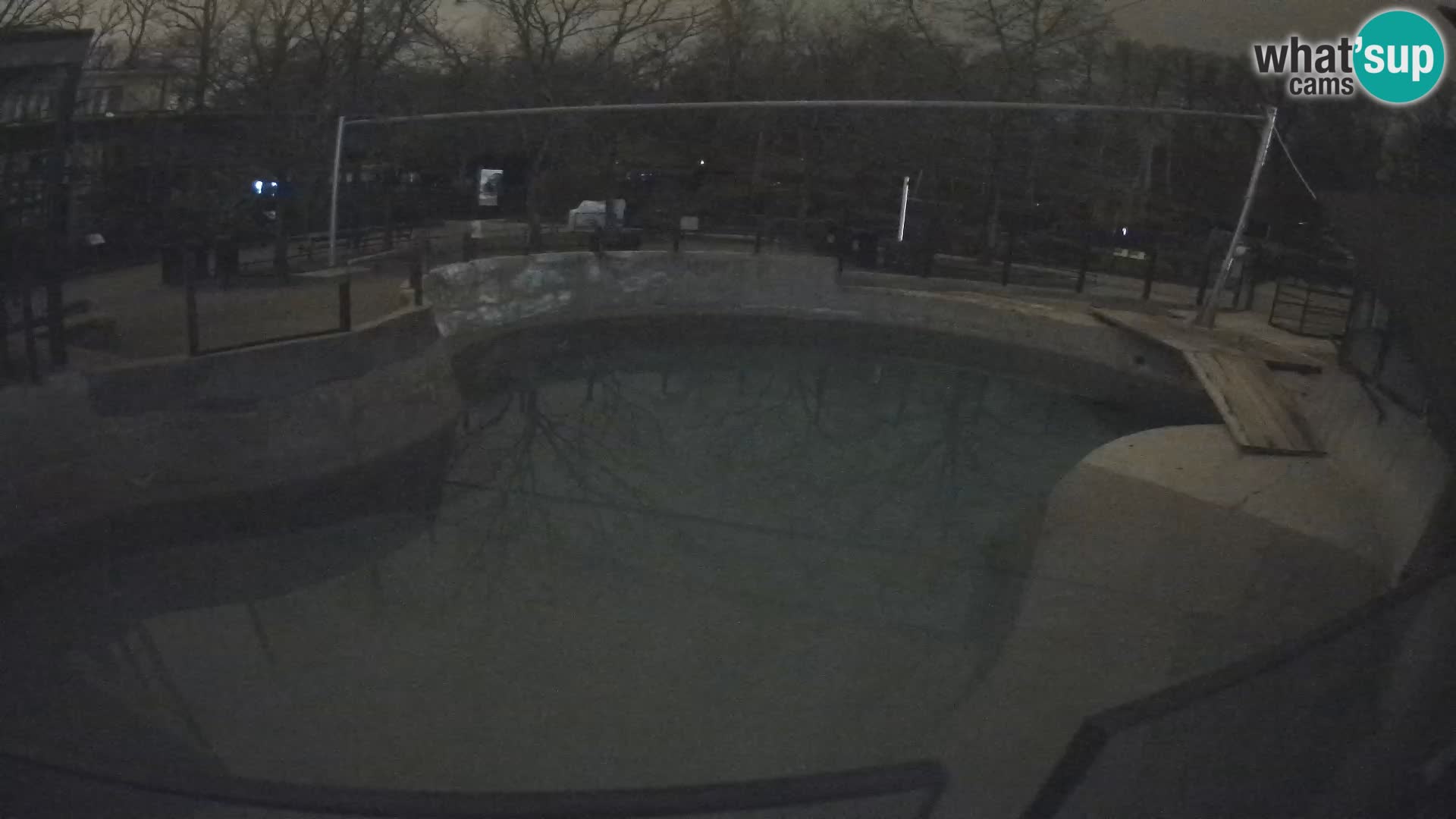 Zoo Zagreb – Kalifornijski morski lav