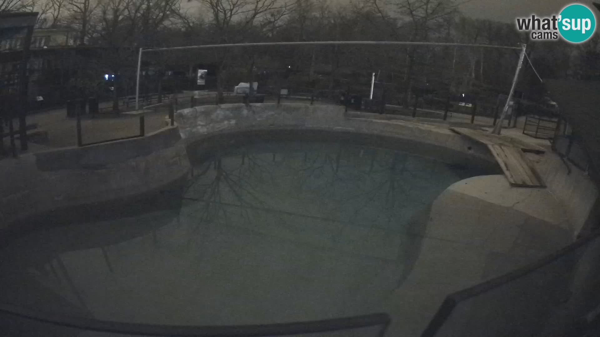 Zoo Zagreb – California Sea Lion