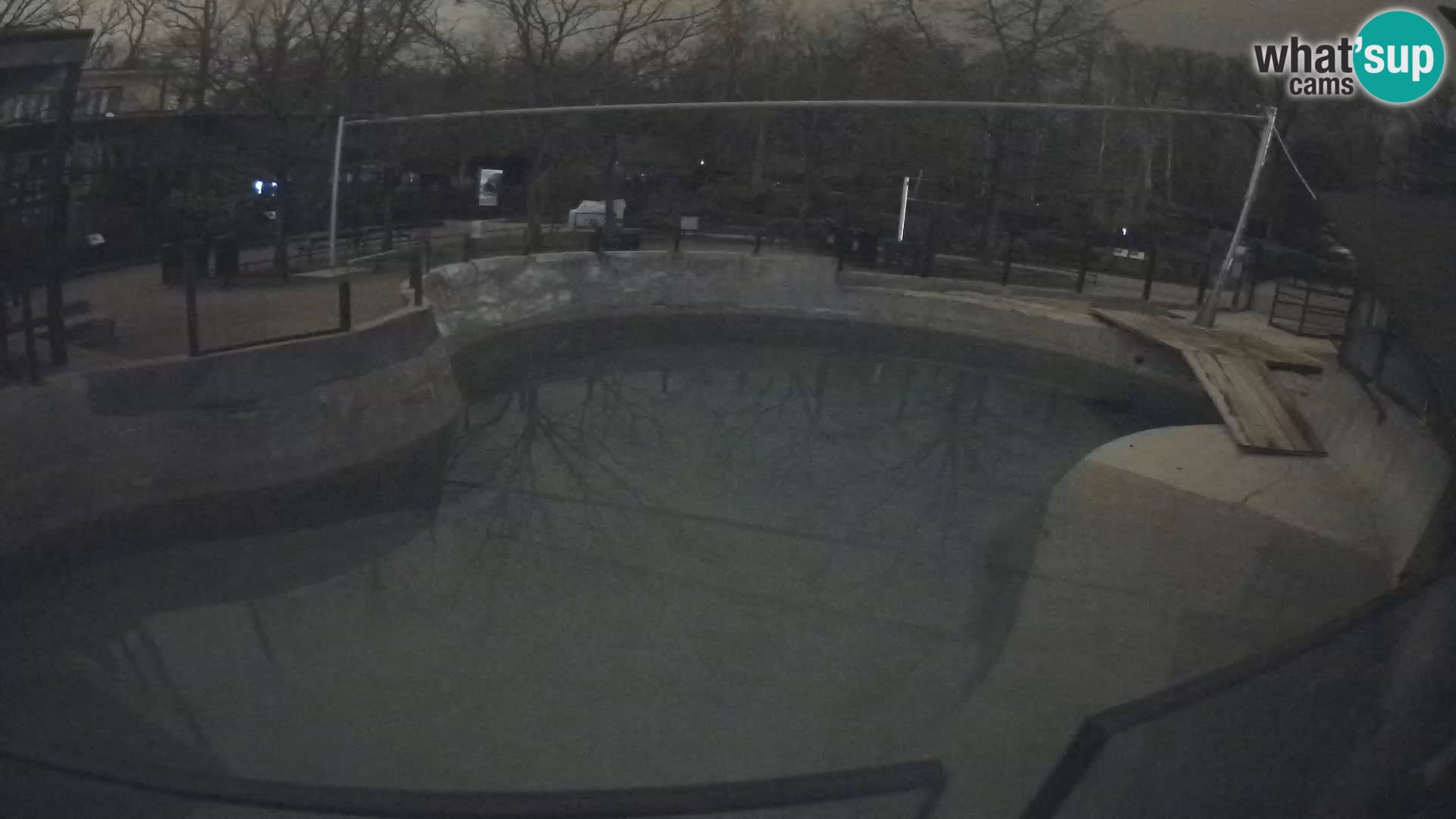 Zoo Zagreb – Otarie de Californie