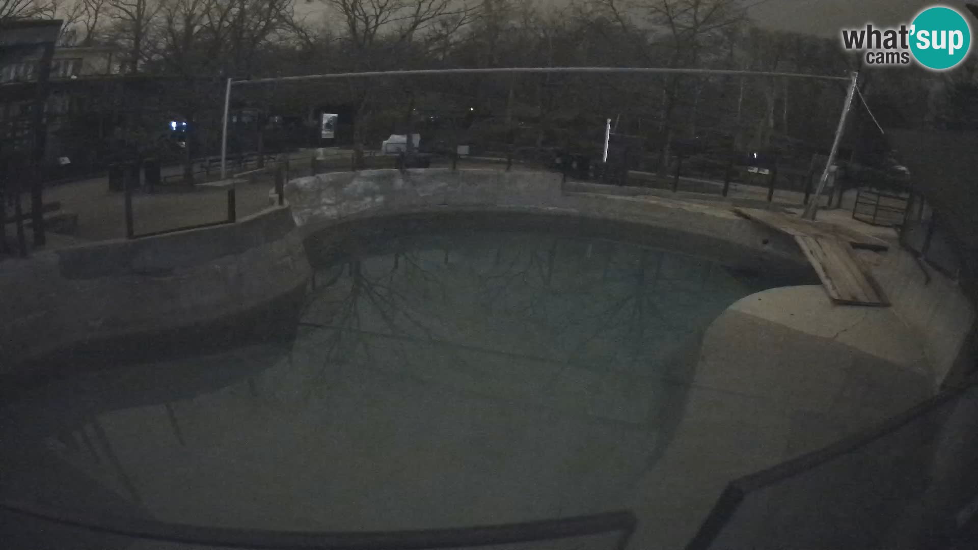 Zoo Zagreb – Kalifornijski morski lev