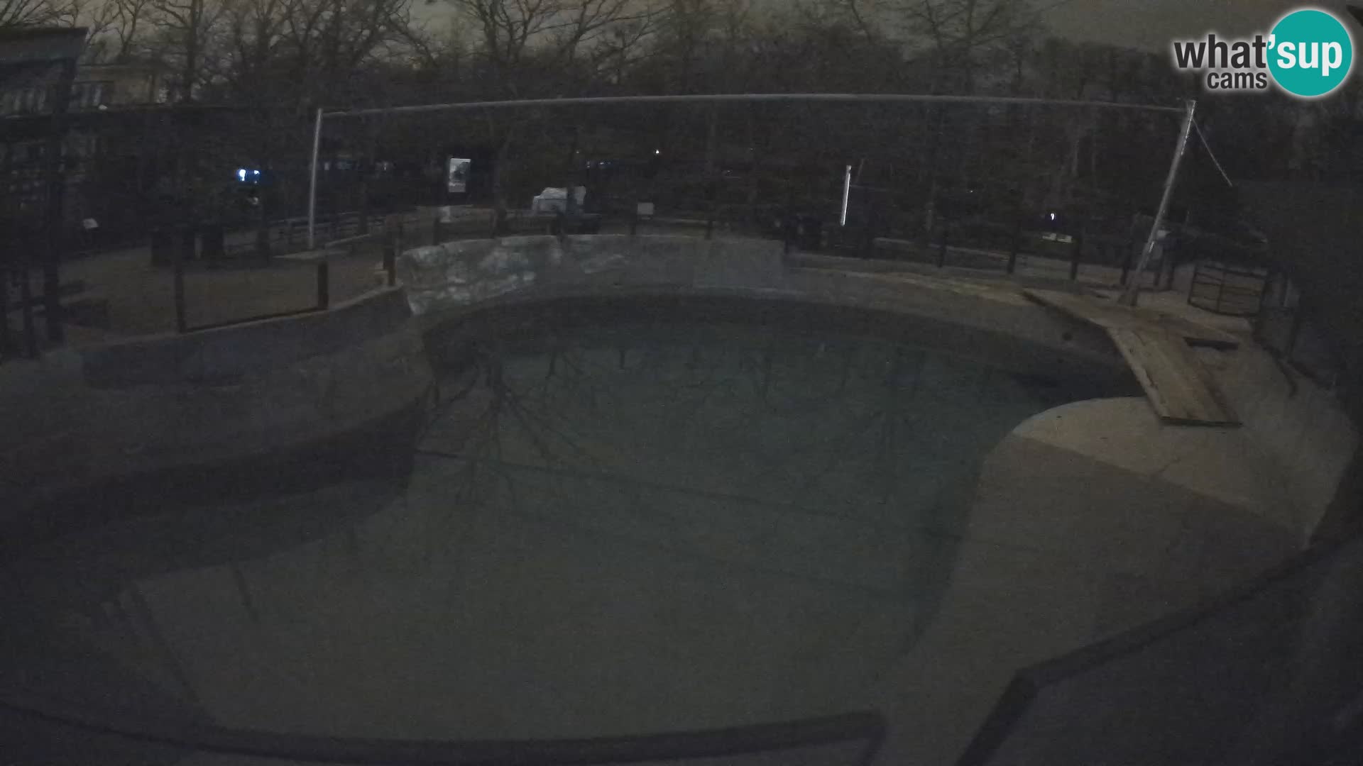 Zoo Zagreb – California Sea Lion