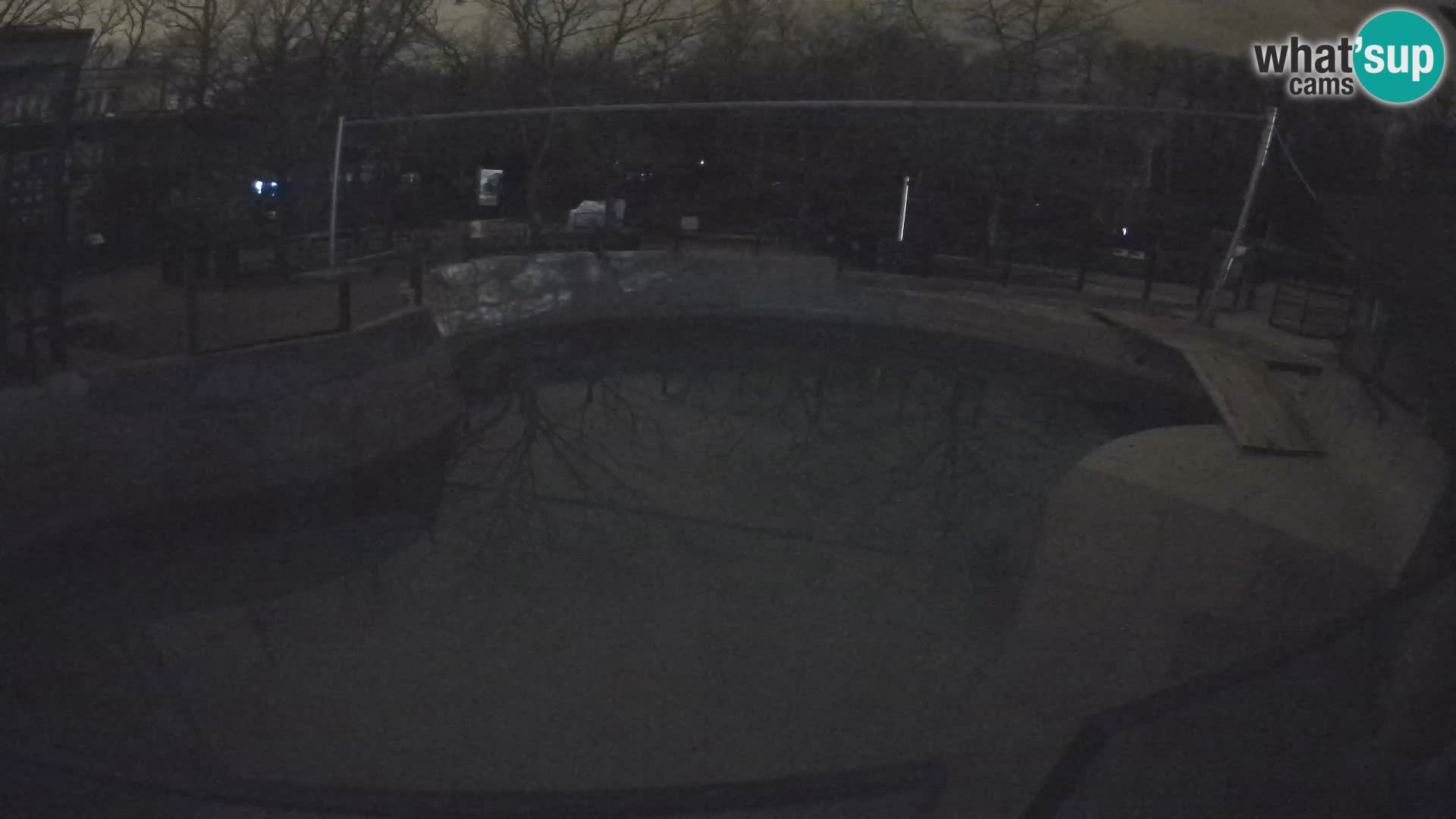 Zoo Zagreb –  León marino de California