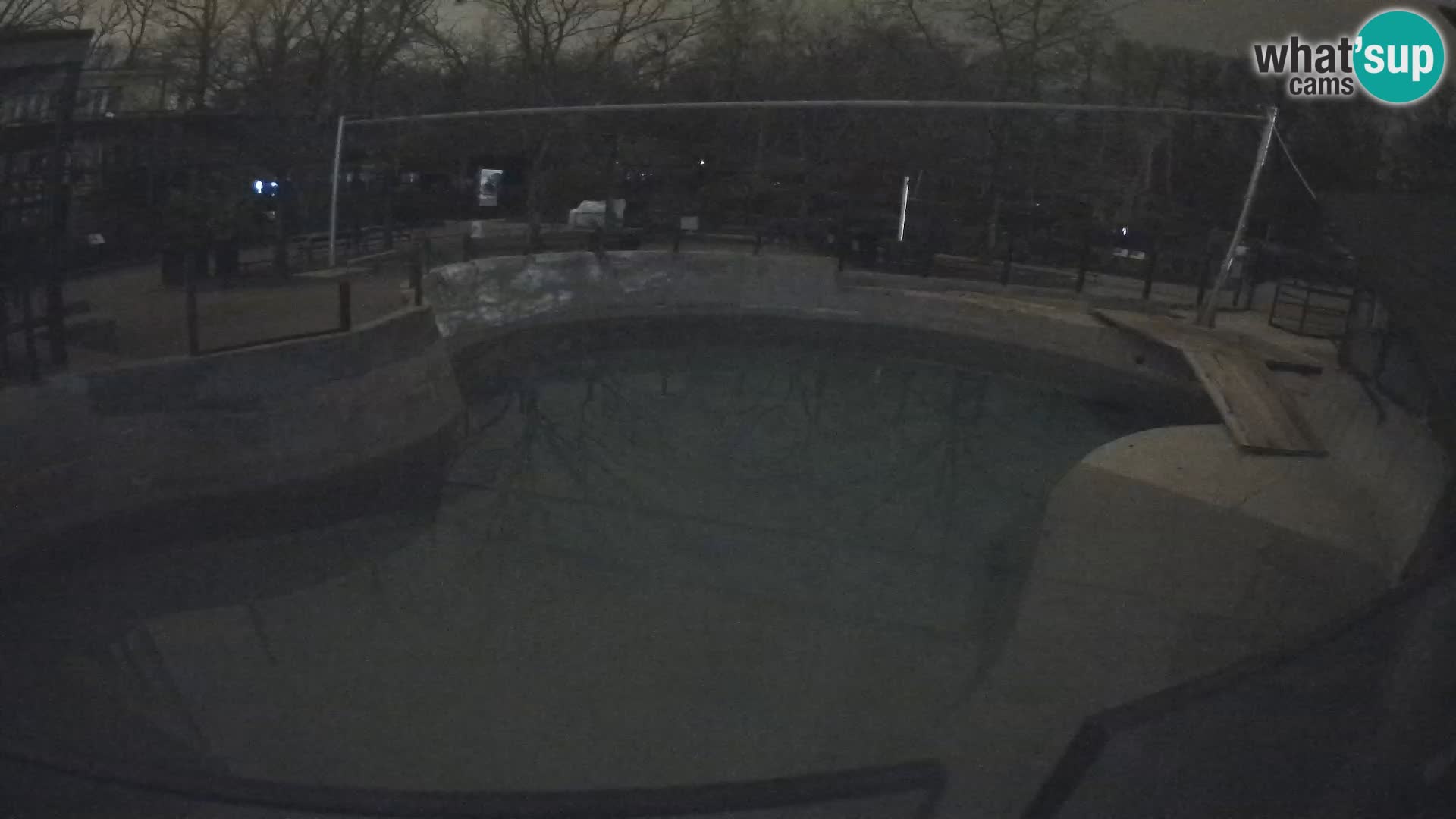 Zoo Zagreb –  León marino de California