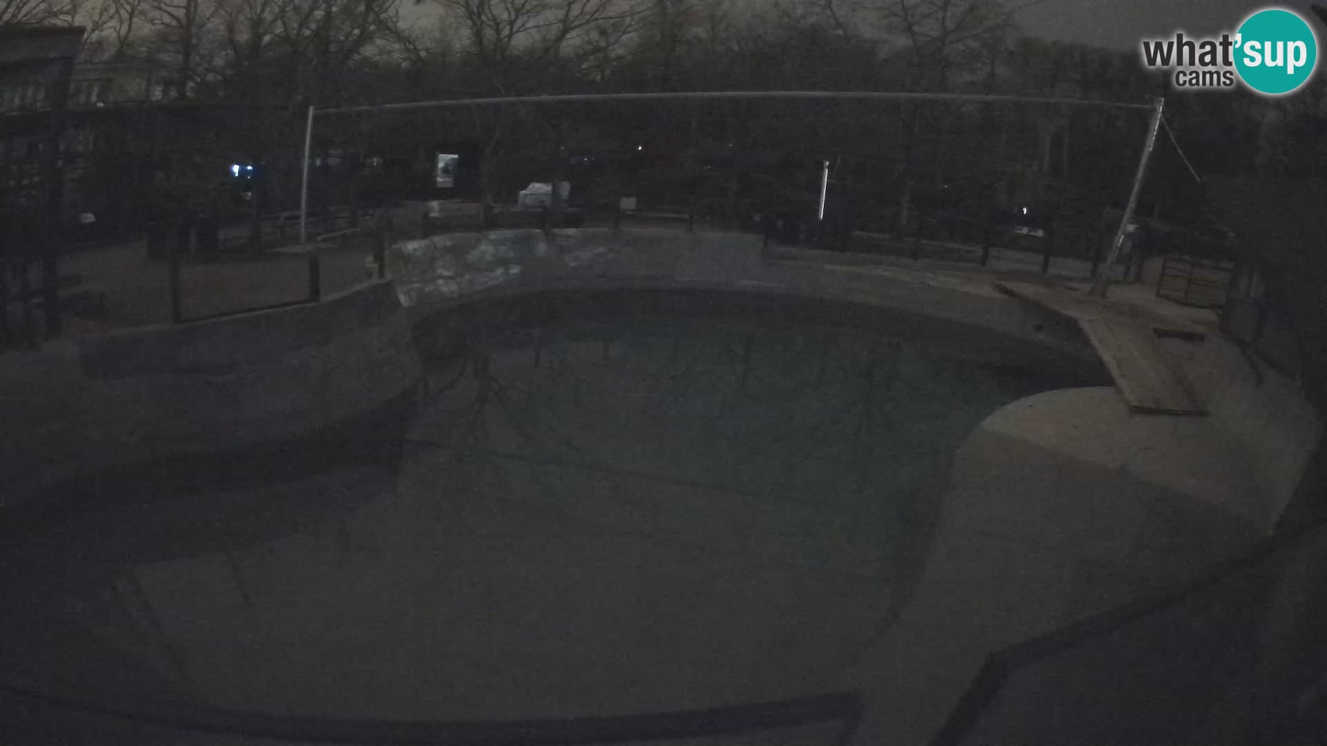 Zoo Zagreb – Otarie de Californie