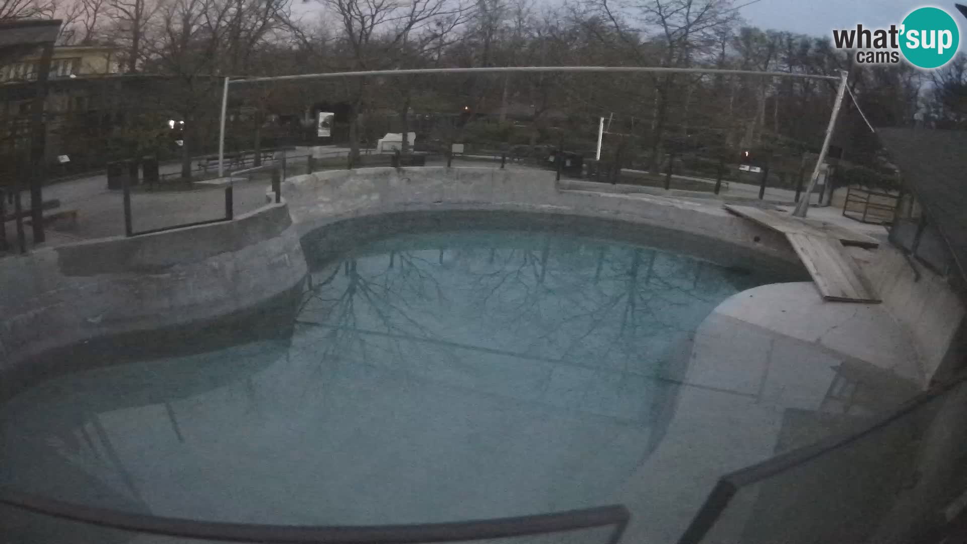 Zoo Zagreb – Otarie de Californie