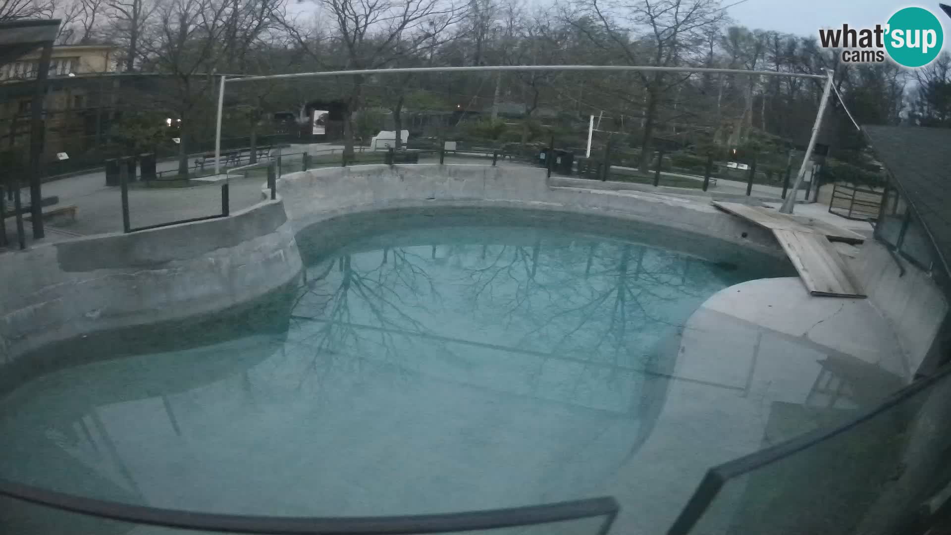 Zoo Zagreb – Kalifornijski morski lav