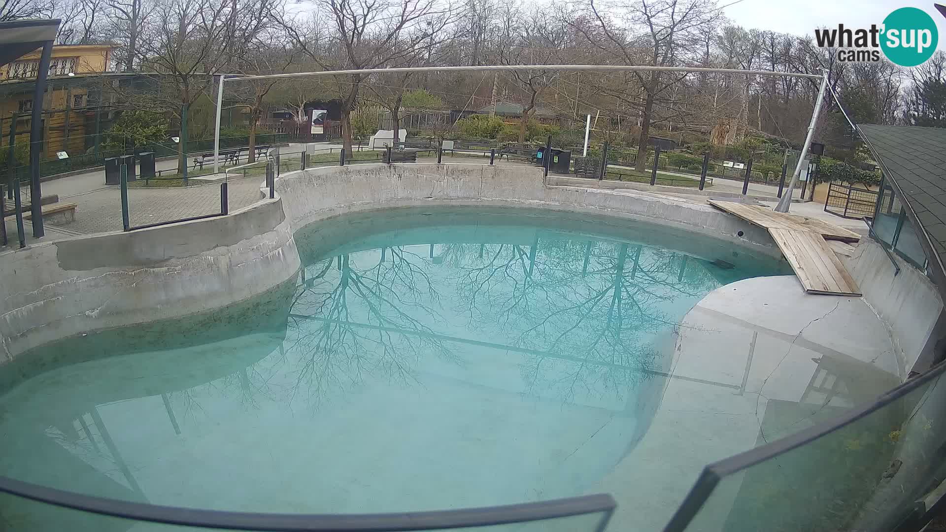 Zoo Zagreb – Otarie de Californie