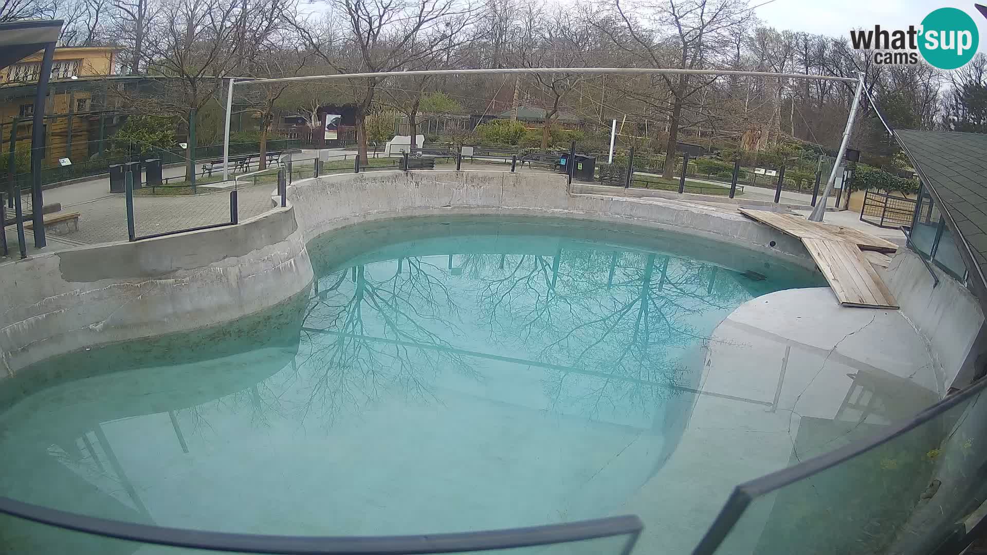 Zoo Zagreb –  León marino de California