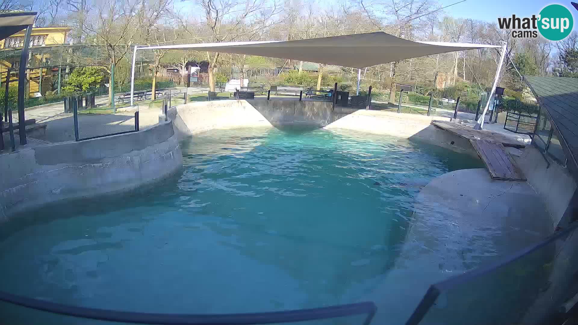 Zoo Zagreb – Otarie de Californie