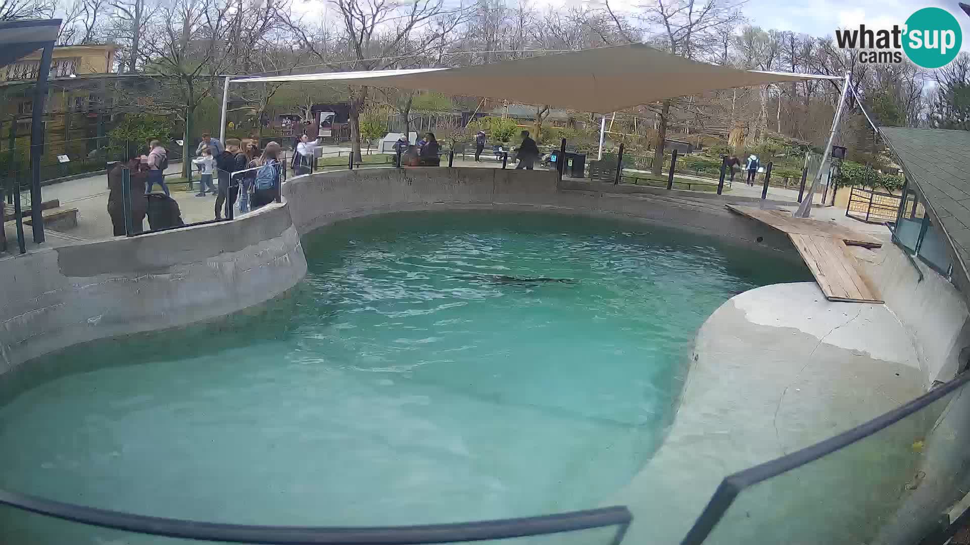 Zoo Zagreb – Kalifornijski morski lav