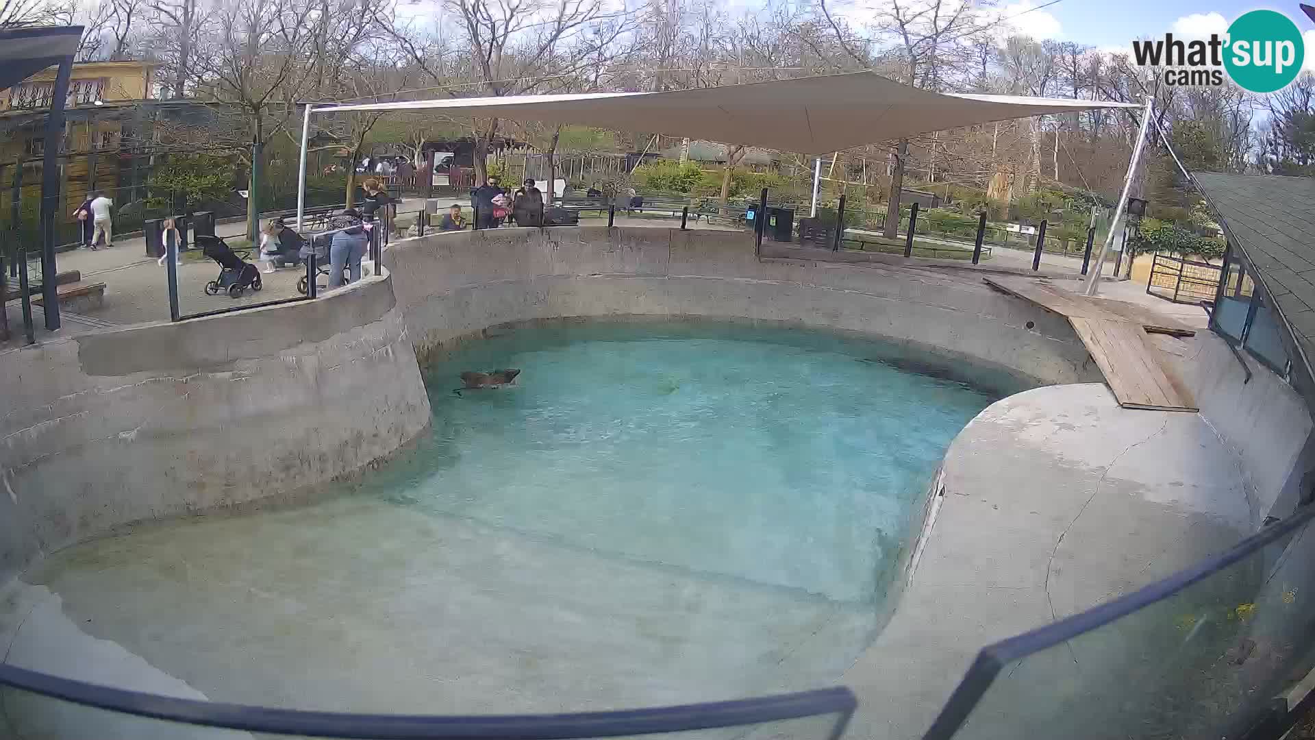 Zoo Zagreb – Otarie de Californie