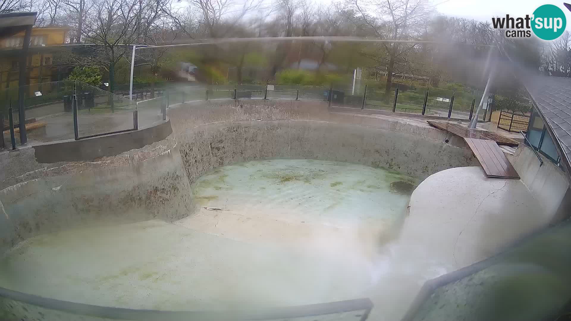 Zoo Zagreb –  León marino de California