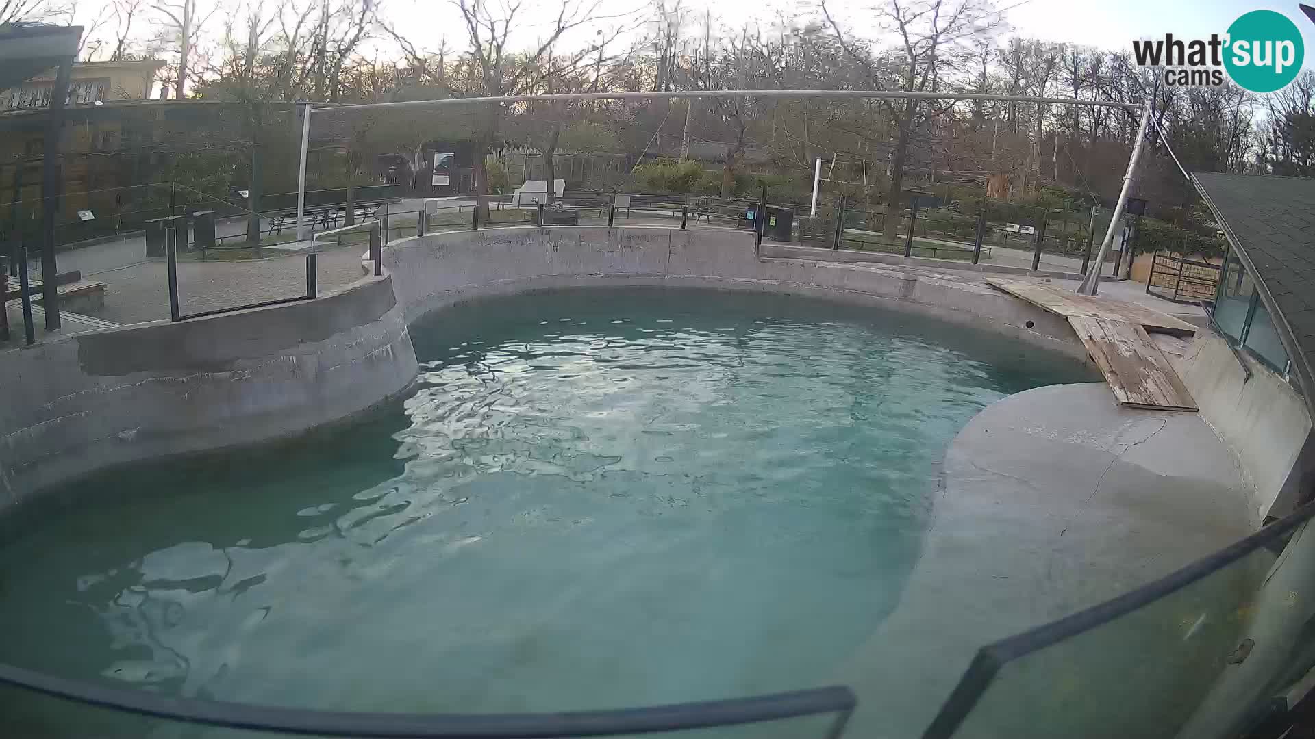 Zoo Zagreb –  León marino de California