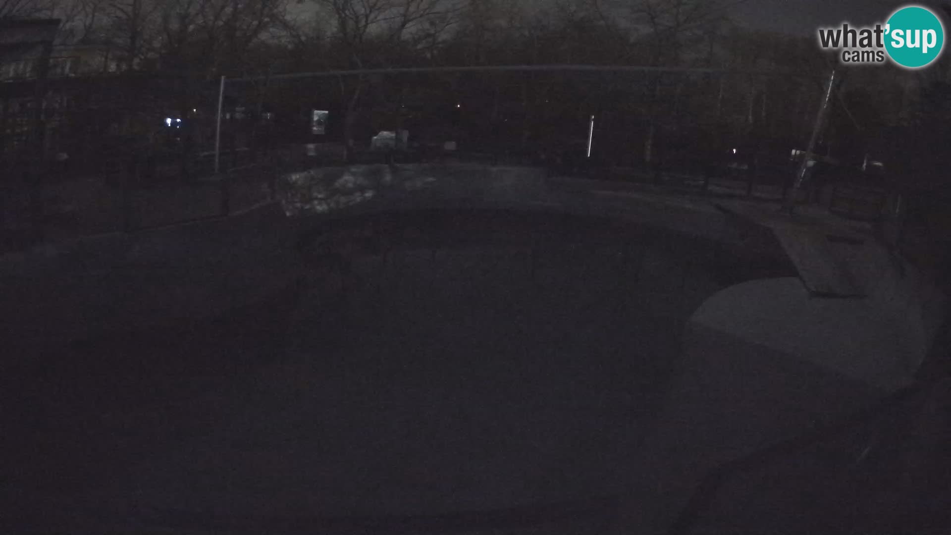 Zoo Zagreb – Otarie de Californie