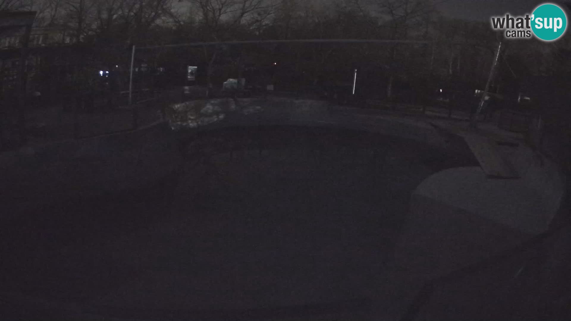 Zoo Zagreb –  León marino de California