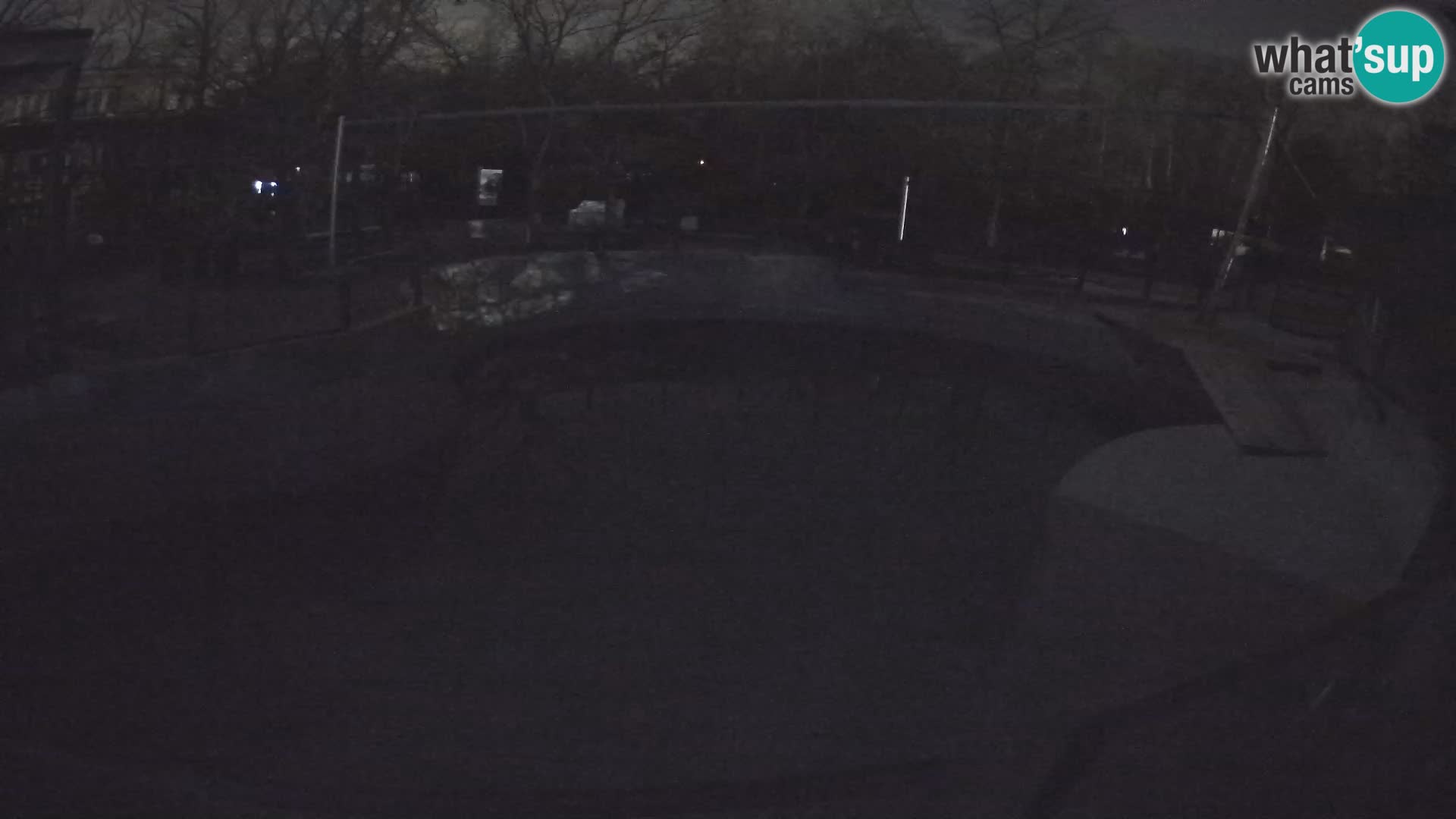 Zoo Zagreb – Kalifornijski morski lav