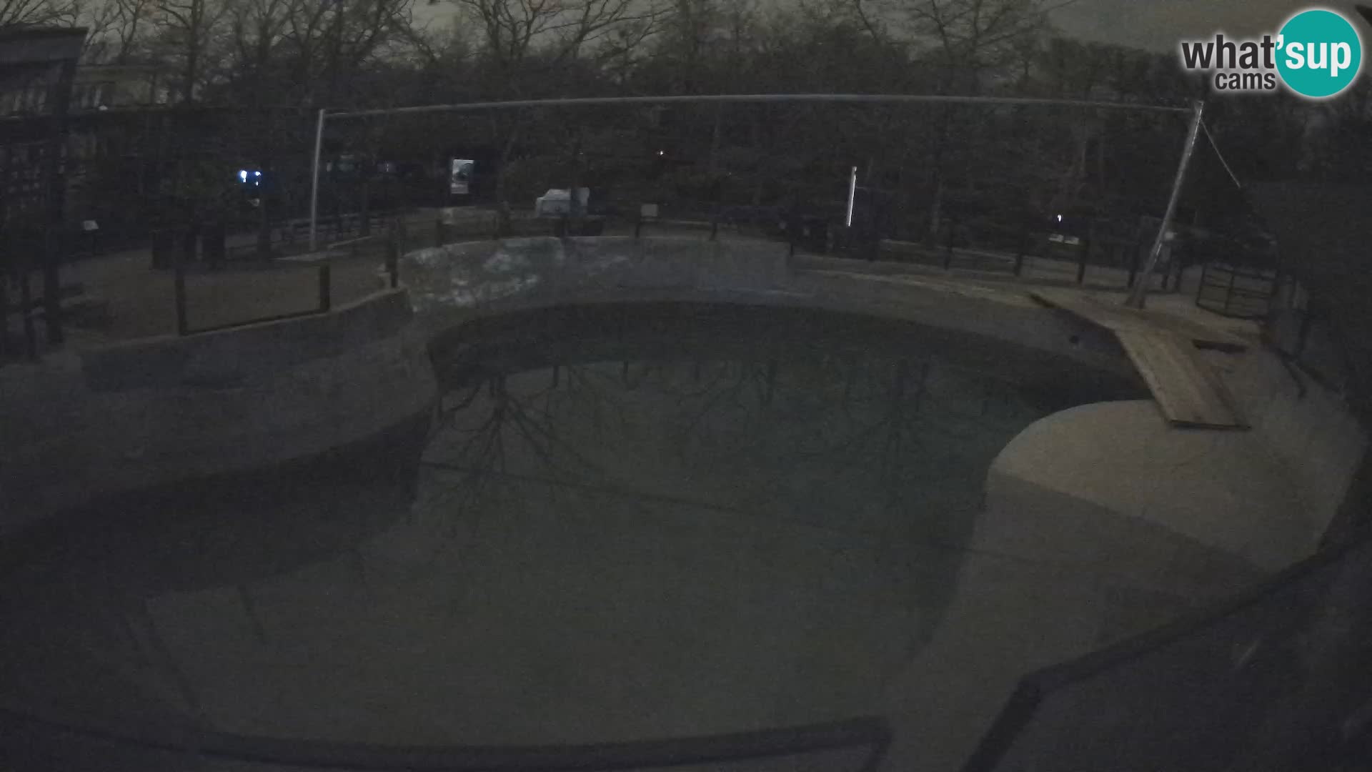 Zoo Zagreb – Otarie de Californie