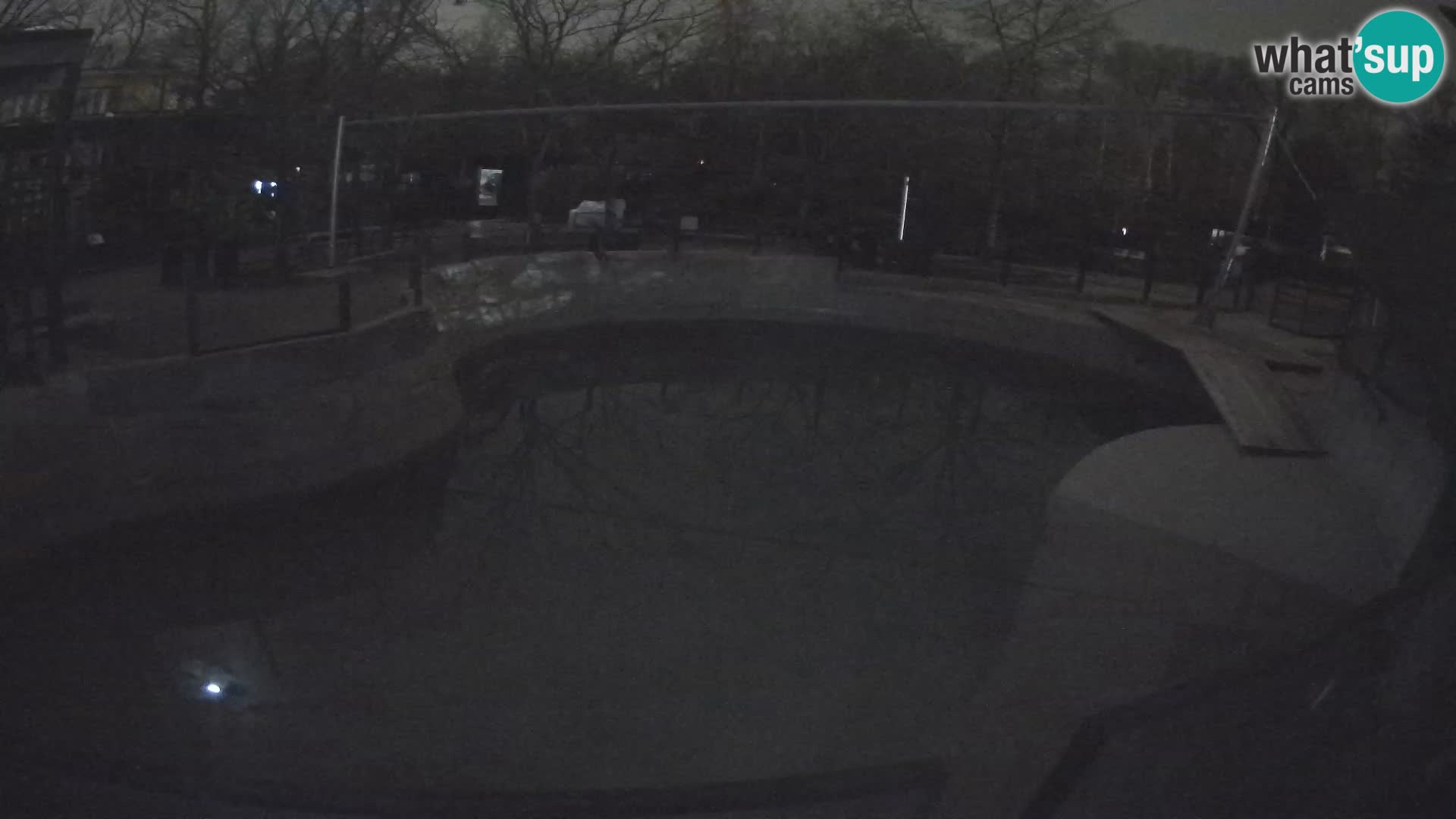 Zoo Zagreb – Kalifornijski morski lav