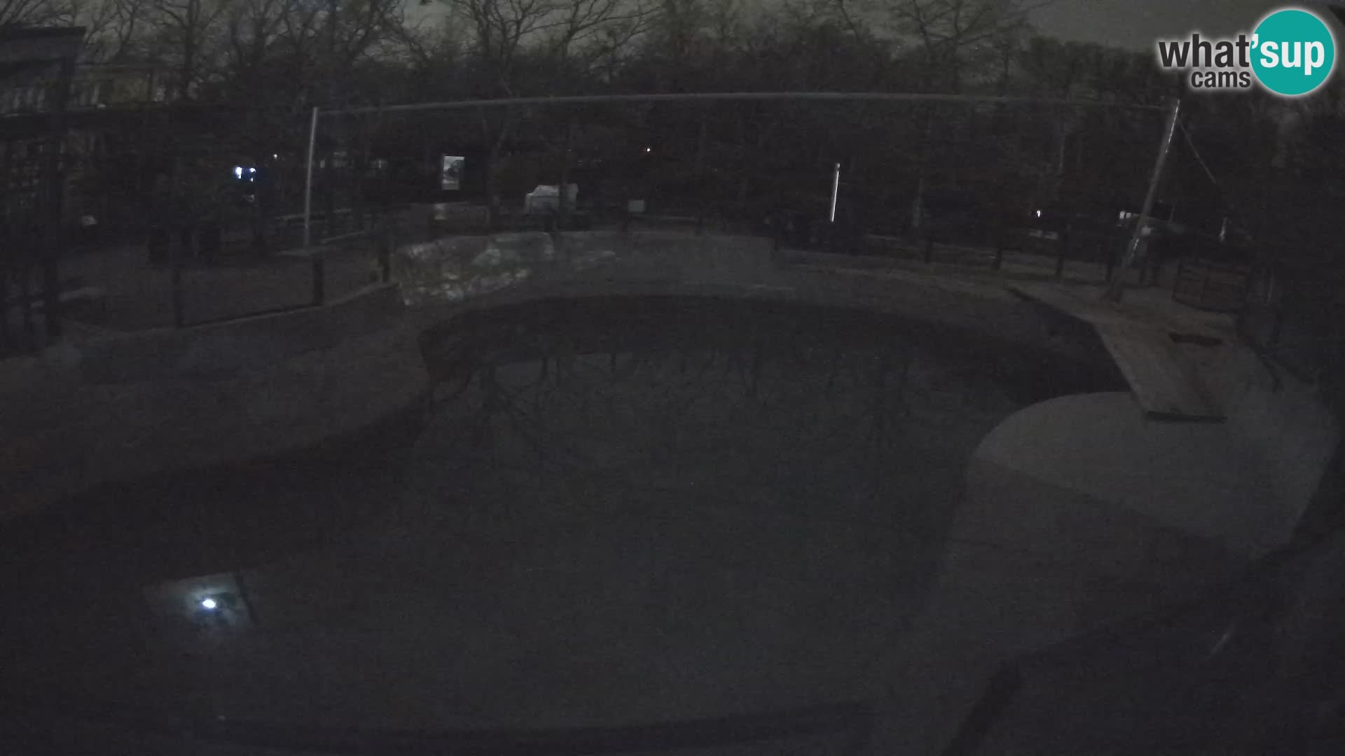 Zoo Zagreb – Kalifornijski morski lav