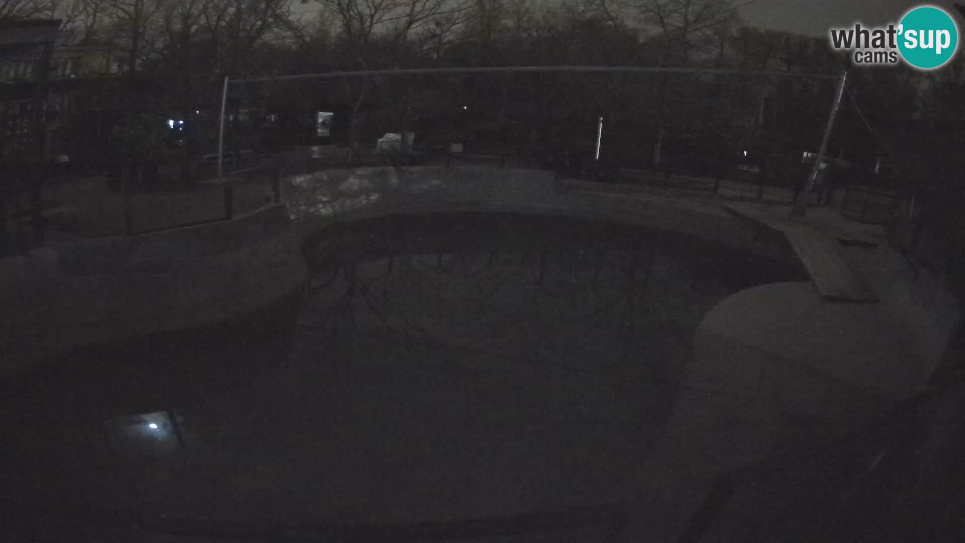 Zoo Zagreb – Kalifornijski morski lav