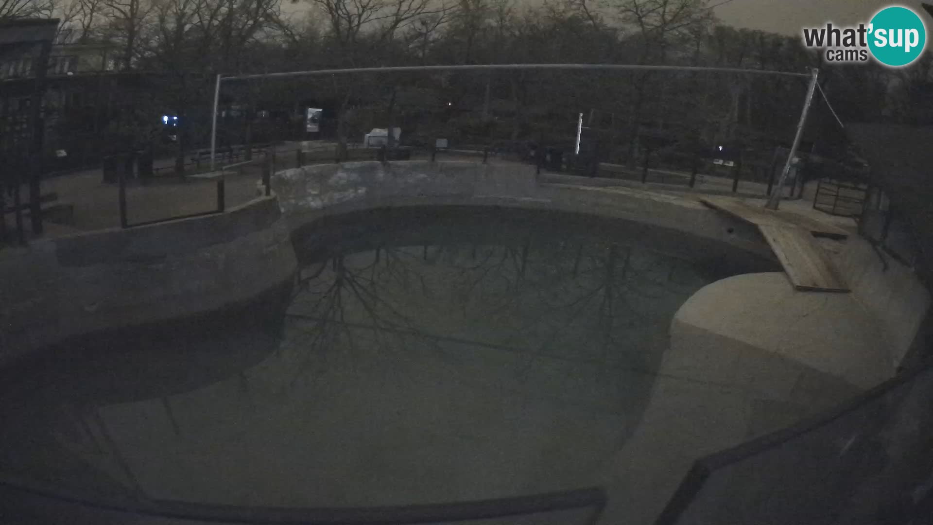 Zoo Zagreb – Kalifornijski morski lav