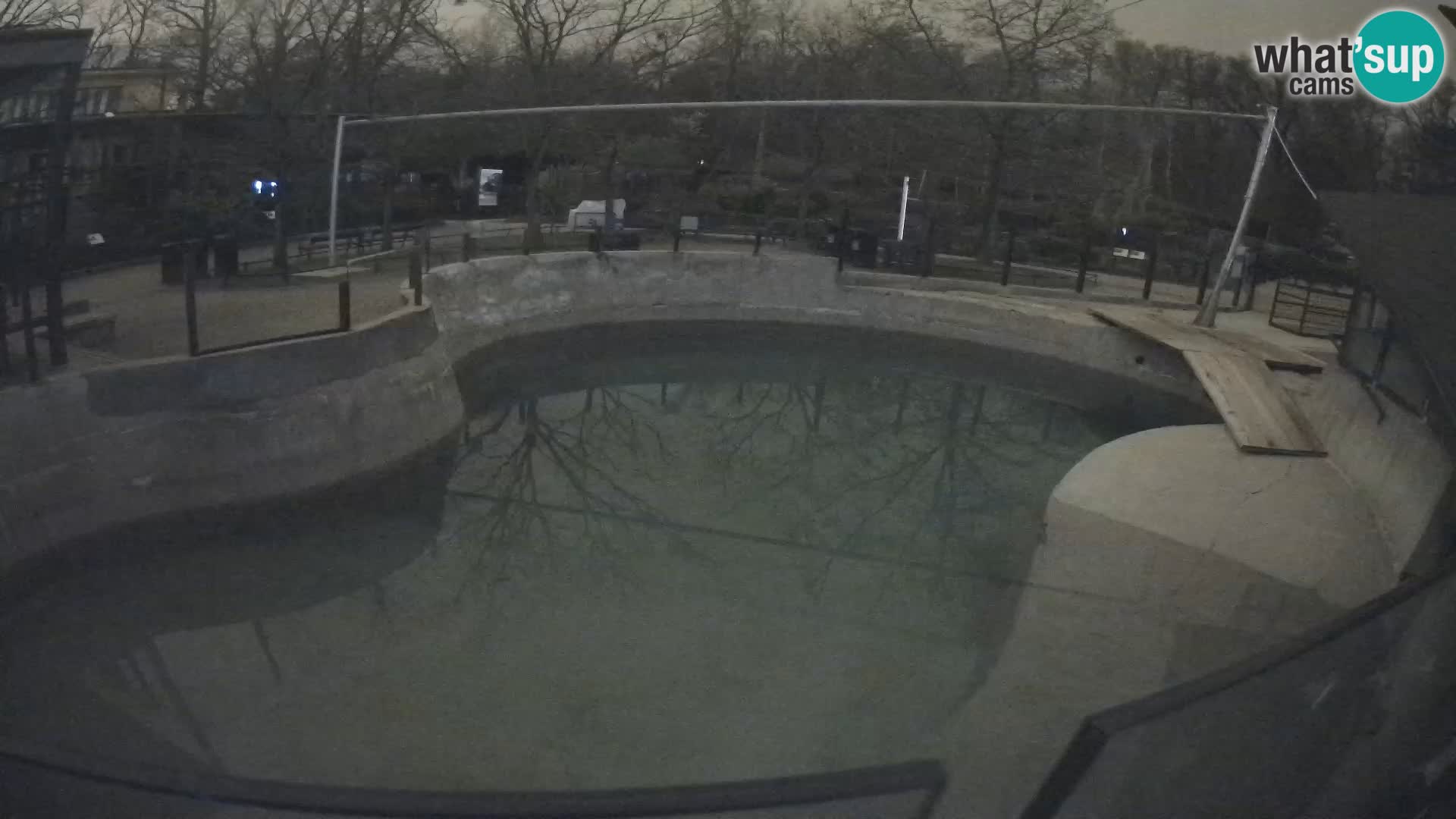 Zoo Zagreb – Kalifornijski morski lev