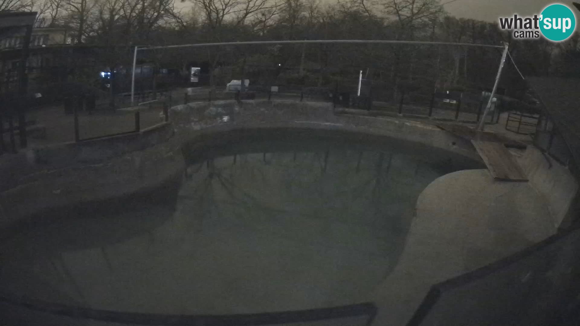 Zoo Zagreb – Otarie de Californie