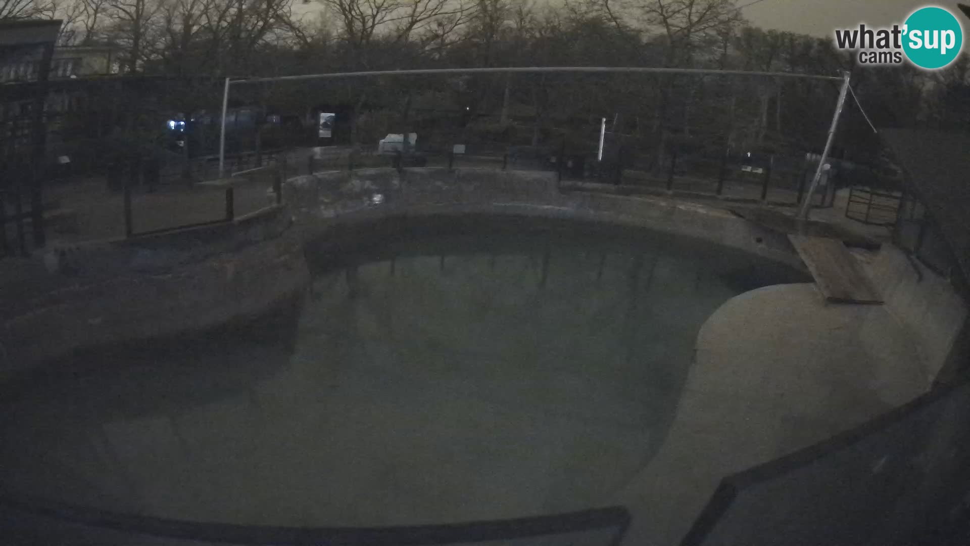 Zoo Zagreb – Kalifornijski morski lav