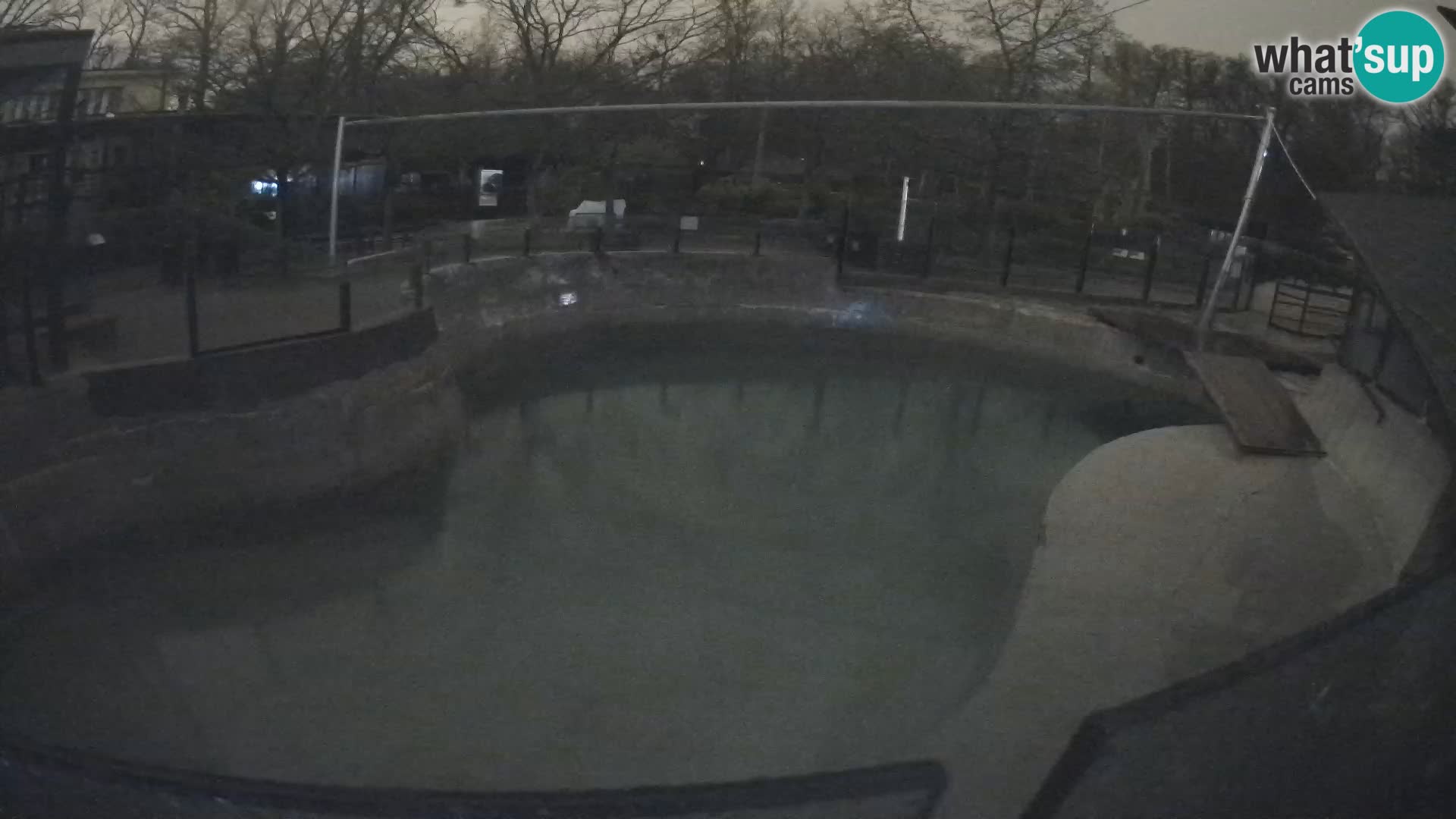 Zoo Zagreb – Kalifornijski morski lav