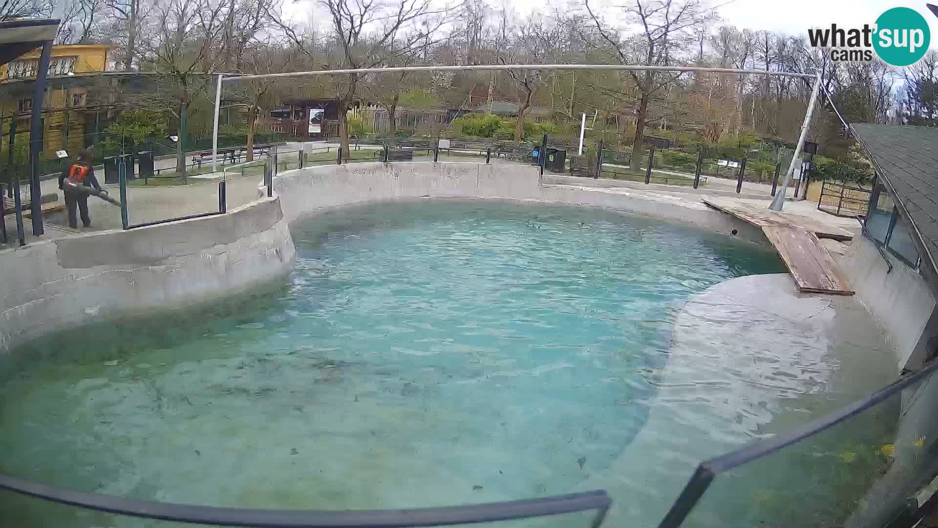 Zoo Zagreb – Otarie de Californie