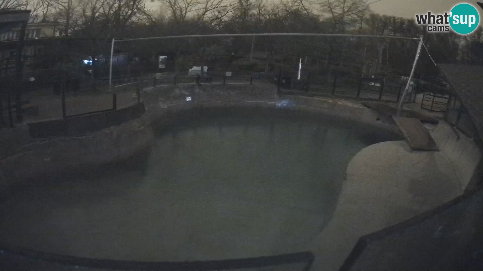 Zoo Zagreb – Otaria della California