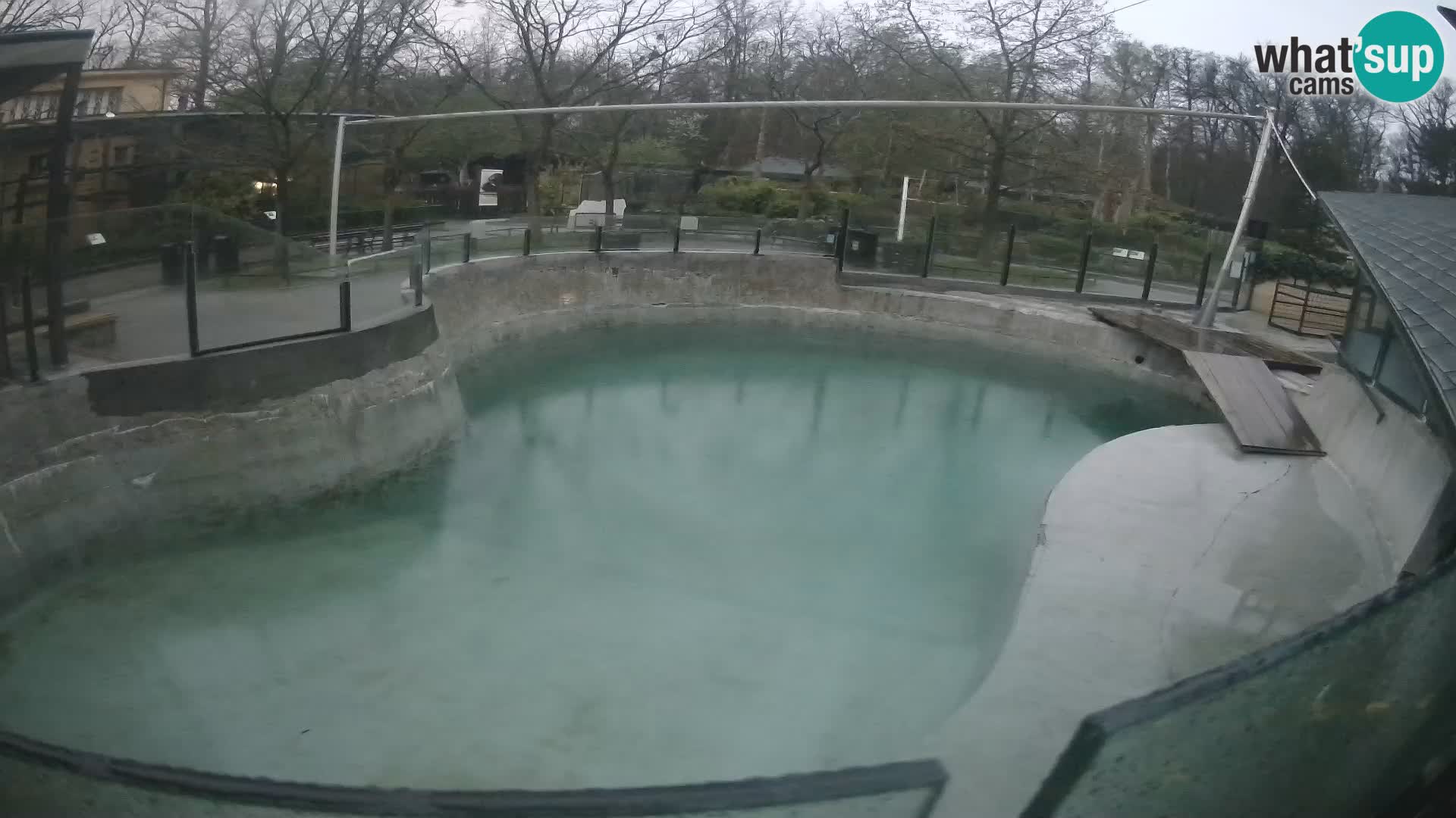 Zoo Zagreb – Otaria della California