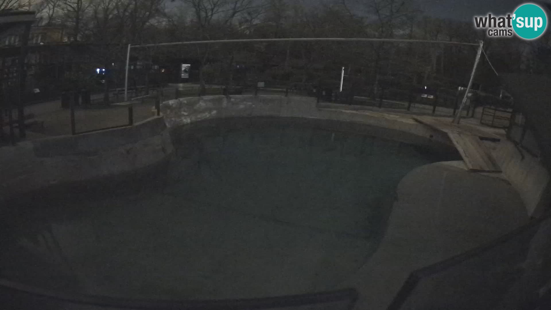 Zoo Zagreb – California Sea Lion