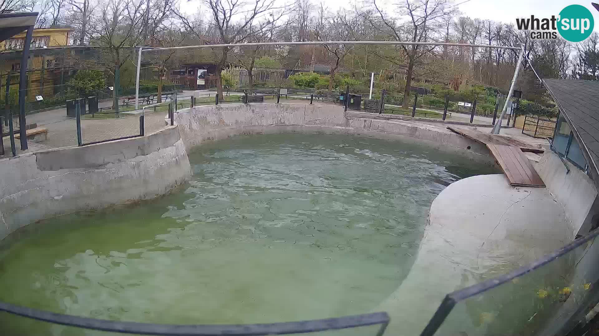 Zoo Zagreb – Kalifornijski morski lav