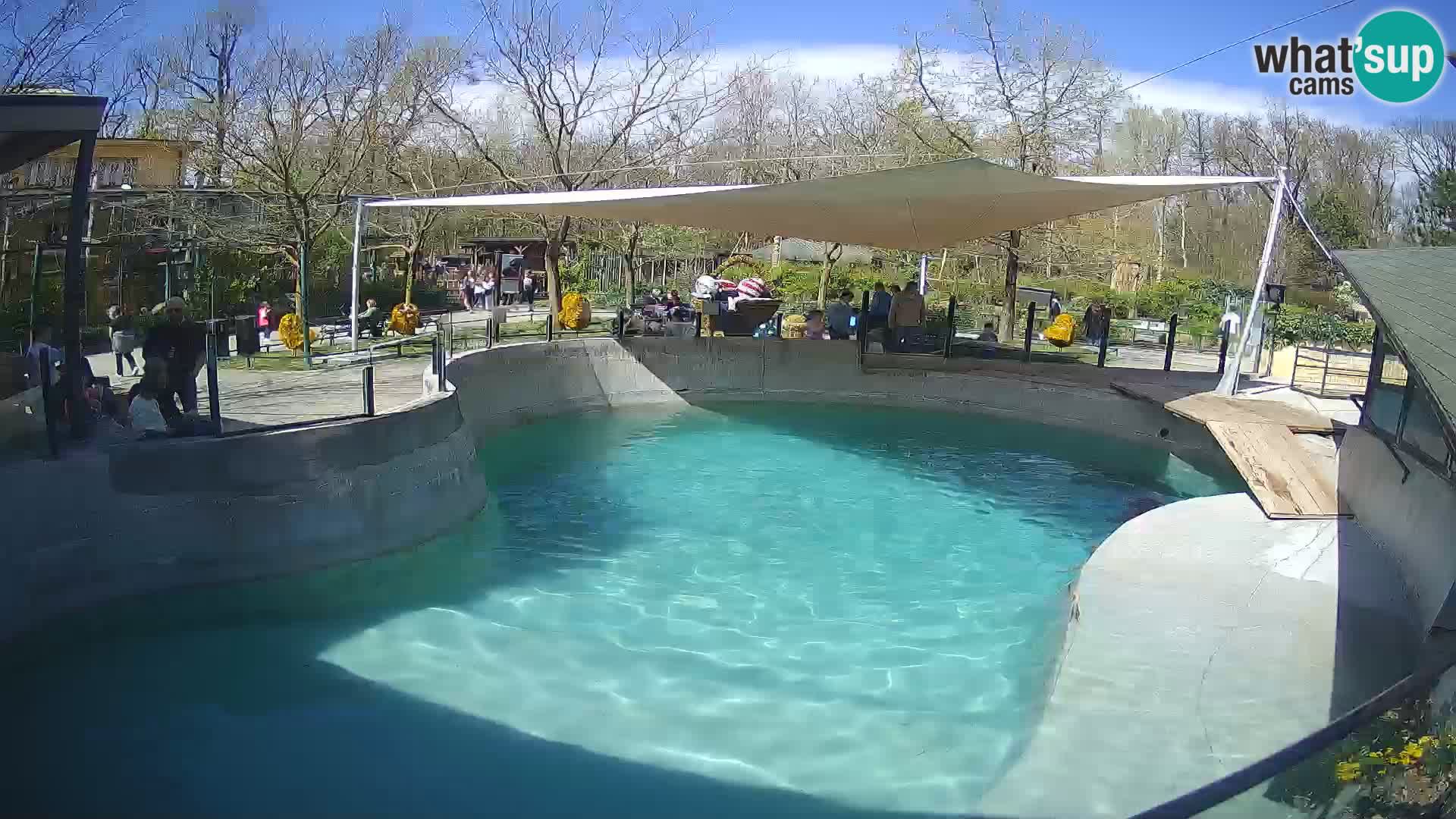 Zoo Zagreb – Kalifornischer Seelöwe