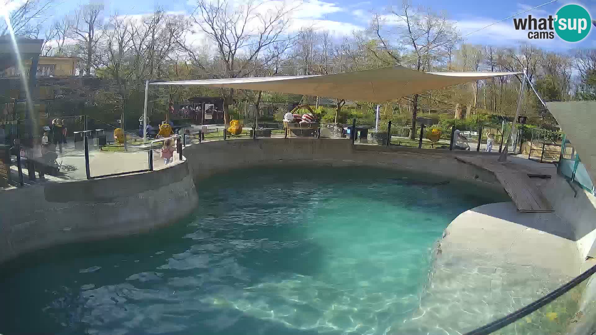 Zoo Zagreb – Otarie de Californie