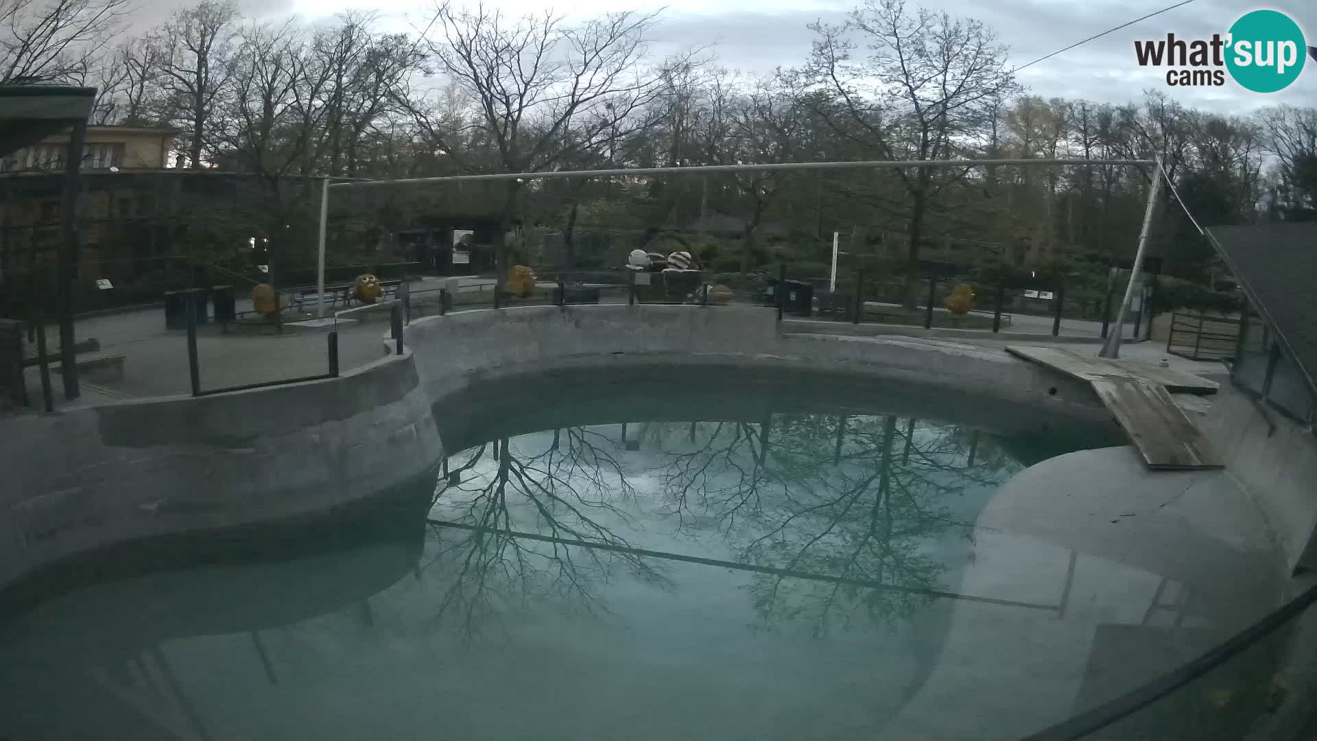 Zoo Zagreb – Otarie de Californie