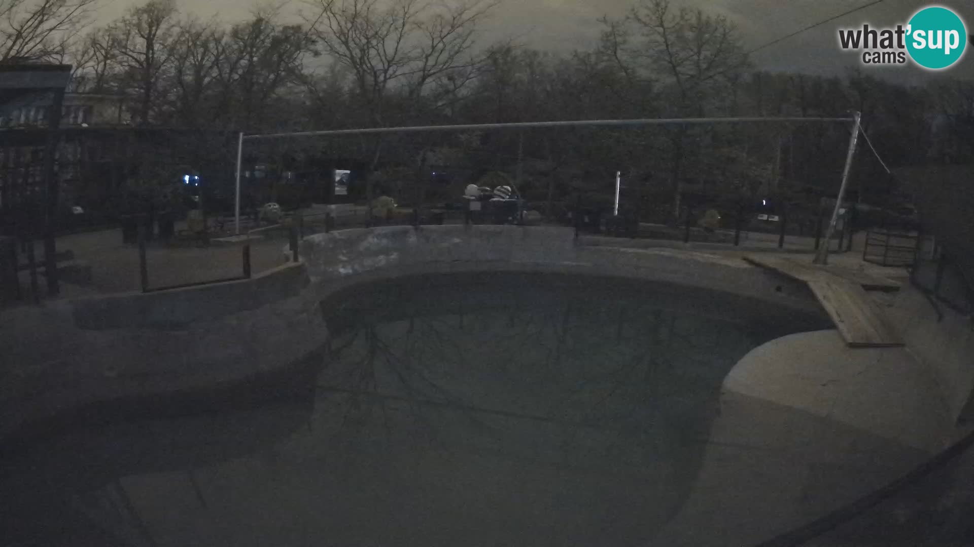 Zoo Zagreb – California Sea Lion